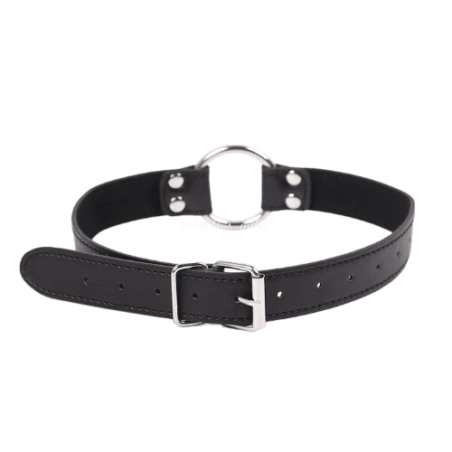 Stainless Steel O-Ring Mouth Gag for Couple Use — bdsm toy